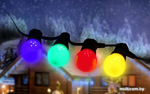 Гирлянда ЭРА ERABL-MK5