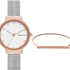 Наручные часы Skagen SKW1080