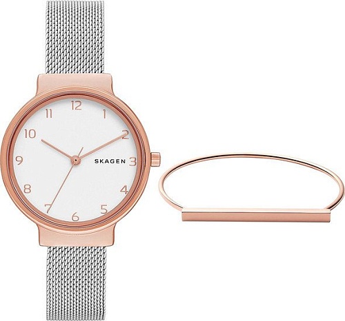 Наручные часы Skagen SKW1080