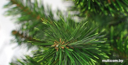 Ель GreenTerra Ель с зелеными концами 1 м