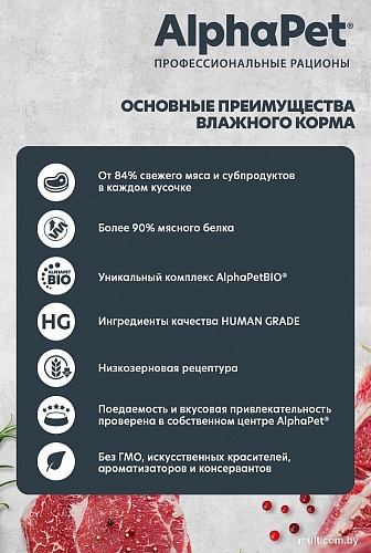 Консервированный корм для собак AlphaPet WOW с чувствительным пищевар. говядина и томленая тыква 210003 100 г