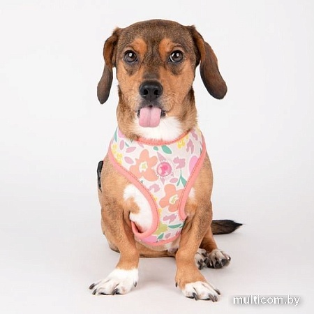 Шлейка-жилетка Pinkaholic Evanthe NAWA-HA7719-IP-M (розовый)