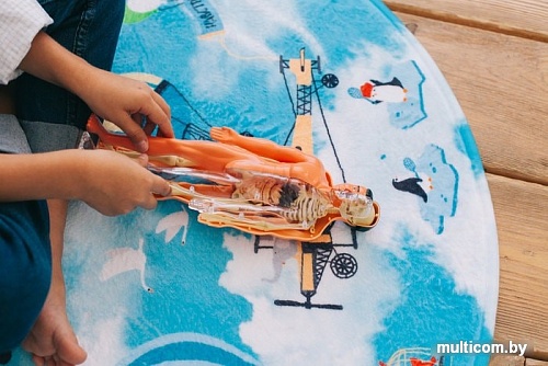 Эврики Строение тела 2772939