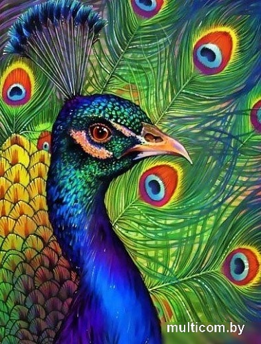 Картина по номерам ILikeGift Павлин HCEG35983