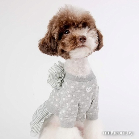 Свитер для животных Pinkaholic Ensley с юбкой NAUA-OP7617-MG-M (серый)