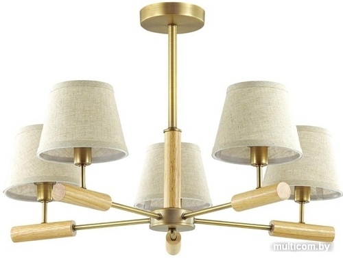 Люстра средней высоты Lumion Robin 3703/5C