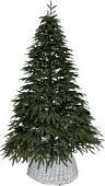 Ель Смерека-Плюс Сказка СМ-15СК 1.5 м