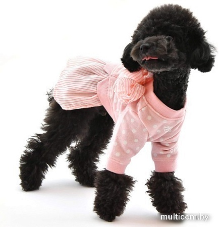 Свитер для животных Pinkaholic Ensley с юбкой NAUA-OP7617-PK-S (розовый)