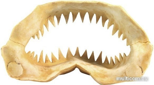 Декорация DekSi Череп динозавра №1003