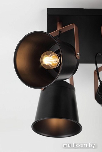 Спот Rivoli Acuto 7015-704 Б0044770