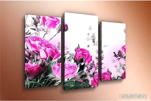 Модульная картина Arthata m-000462 120x80