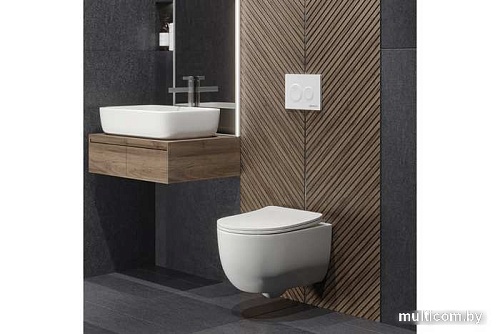 Унитаз Berges Wasserhaus Ventas Rimless 043239 (с сиденьем)