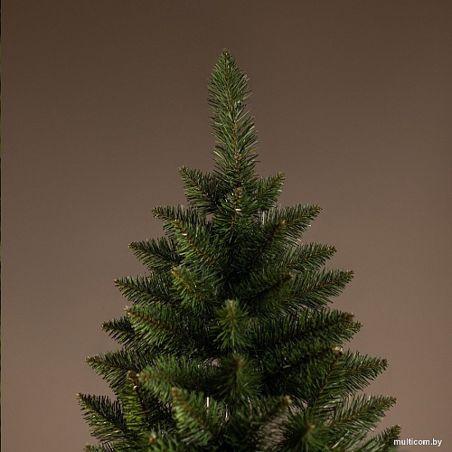 Ель Ёлушка Невская ЕНЕВ 21 (2.1м)