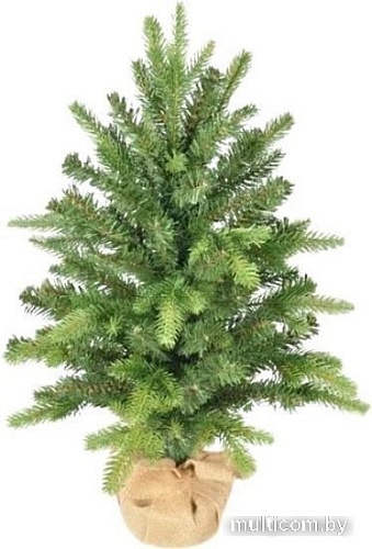 Ель GrandSiti Мила 0.6 м