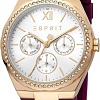 Наручные часы Esprit Lou ES1L193P0035