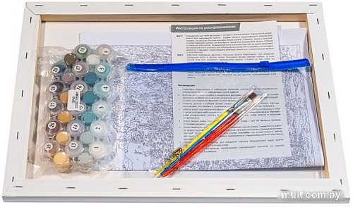 Картина по номерам Белоснежка Оттенки серого 965-AS