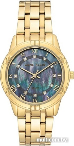 Наручные часы Anne Klein 3768BMGB