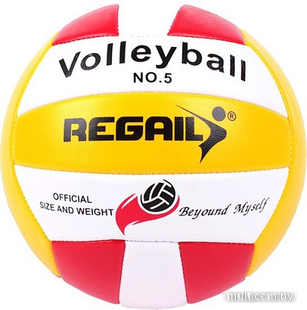 Волейбольный мяч Darvish SR-S-28 (5 размер, белый/желтый/красный)