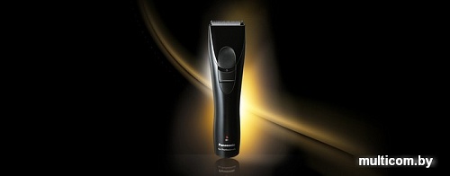 Машинка для стрижки волос Panasonic ER-GP30-K520