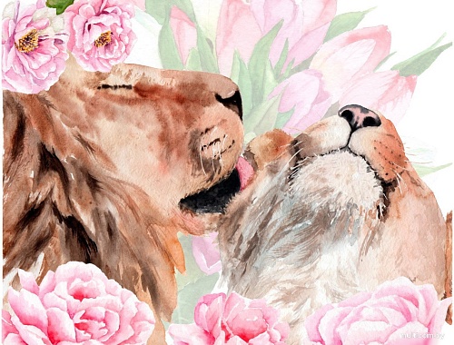 Картина по номерам Рыжий кот Влюблённые животные Х-3864