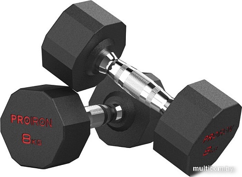 Набор гантелей Proiron Г2080ОБР (2 шт)