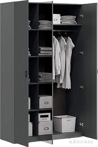 Шкаф-купе Трия Тиффани (серый графит/графит матовый)