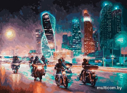 Картина по номерам Белоснежка Жгут пространство железные птицы 309-AB