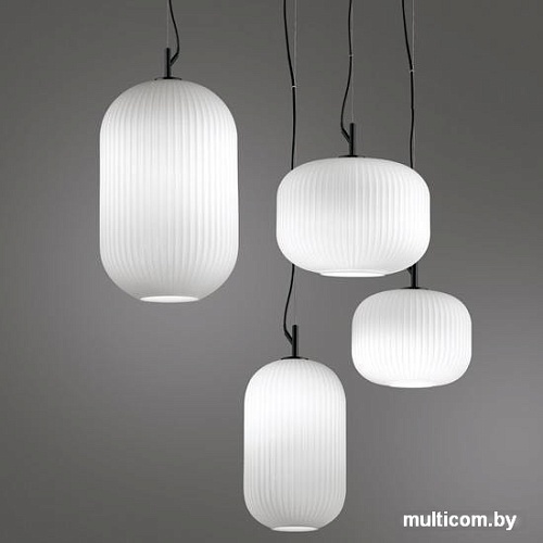 Подвесная люстра Odeon Light Roofi 4752/1