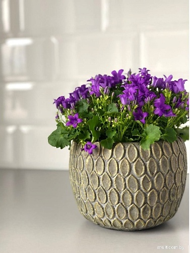 Кашпо Polnix 05.229.09 (серый)