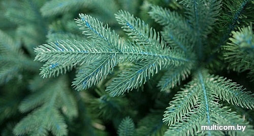 Ель Green Trees Валерио премиум 2.1 м