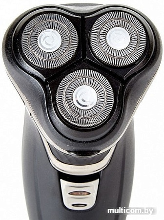 Электробритва Delta Lux DE-4000