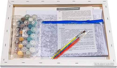 Картина по номерам Белоснежка Зима на реке 928-AS