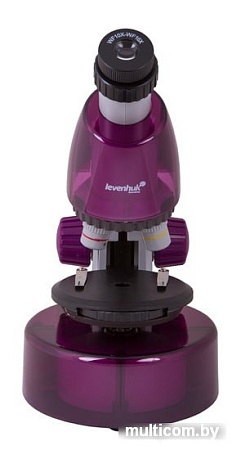 Levenhuk LabZZ M101 (аметист) 69033