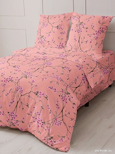 Постельное белье Реноме 1.5сп Шуя 66984 (бязь)