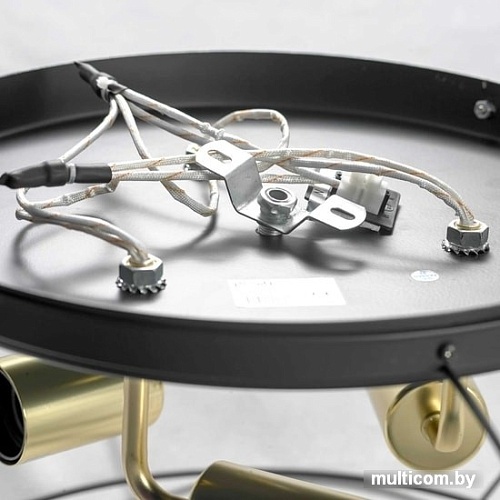 Припотолочная люстра Lussole LOFT GRLSP-8195