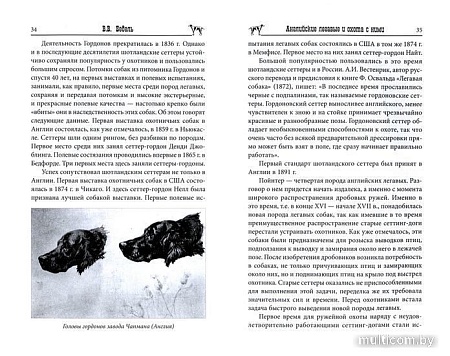 Книга издательства Вече. Английские легавые и охота с ними (Бедель В.)