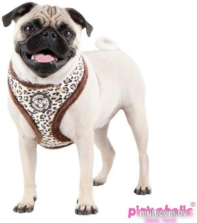 Шлейка Pinkaholic Leo Pug NAQD-AC7275-BR-S (коричневый)