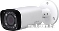 IP-камера Dahua DH-IPC-HFW2231RP-VFS-IRE6