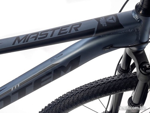 Велосипед Totem Master-29HDA (серый)