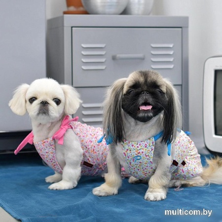 Футболка Puppia WildFlower PAUB-TS1806-SB-L (голубой)