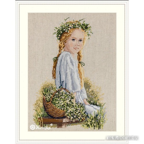 Набор для вышивания Merejka Ромашки K-142