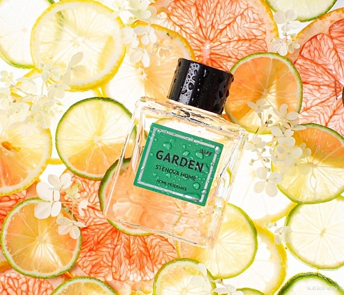 Stenova Home №88 Garden 318191 (100 мл)
