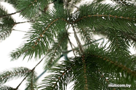 Ель Siga Group Буковельская зеленая 1.8 м