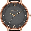 Наручные часы Skagen SKW2267