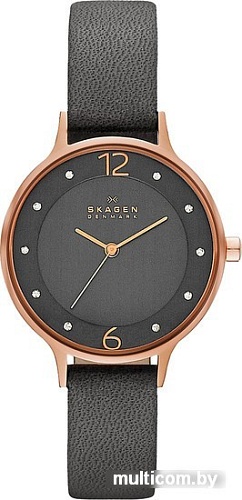 Наручные часы Skagen SKW2267