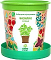 Набор для опытов Happy plant Базилик зеленый hpn-14