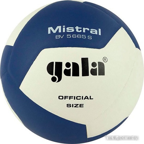 Волейбольный мяч Gala Mistral 12 BV 5665 S (размер 5, белый/синий)