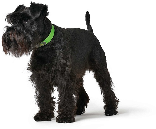 Ошейник Hunter Collar Convenience 68922 (50/M зеленое яблоко)