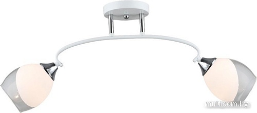 Припотолочная люстра Aitin Pro НПБ 02-2x60-101 C1693/2 (белый/хром)