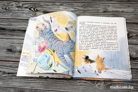 Книга издательства АСТ. Моня и Веня: котики, которых любят (Кетро М.)